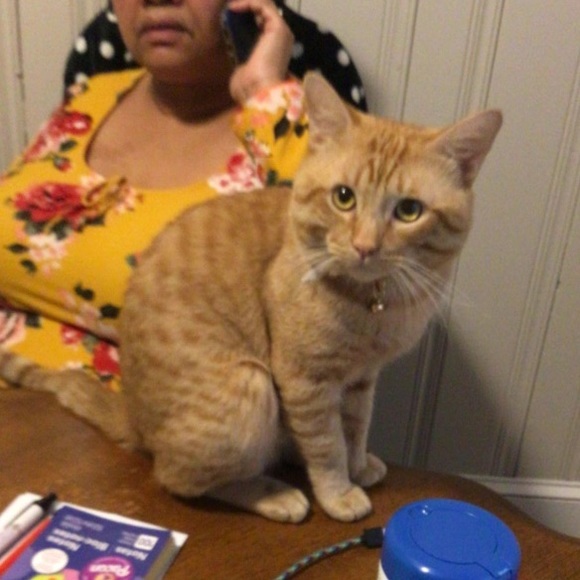 Meet your Top Rated Posh Seller Katikapreโ - Picture 5 of 13